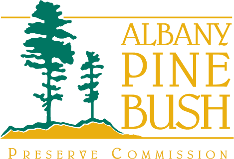 Albany Pine Bush Preserve